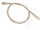 Peddigrohr 2,0mm    100gr  beste Qualität