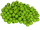 gelbgrün