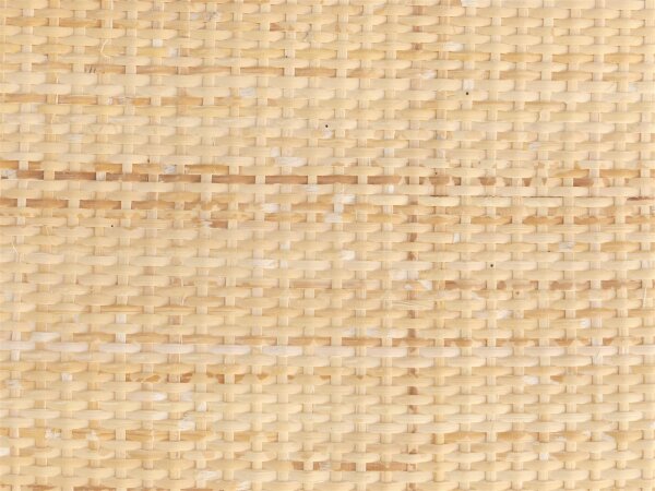 natur mit Schale (nicht beizbar)